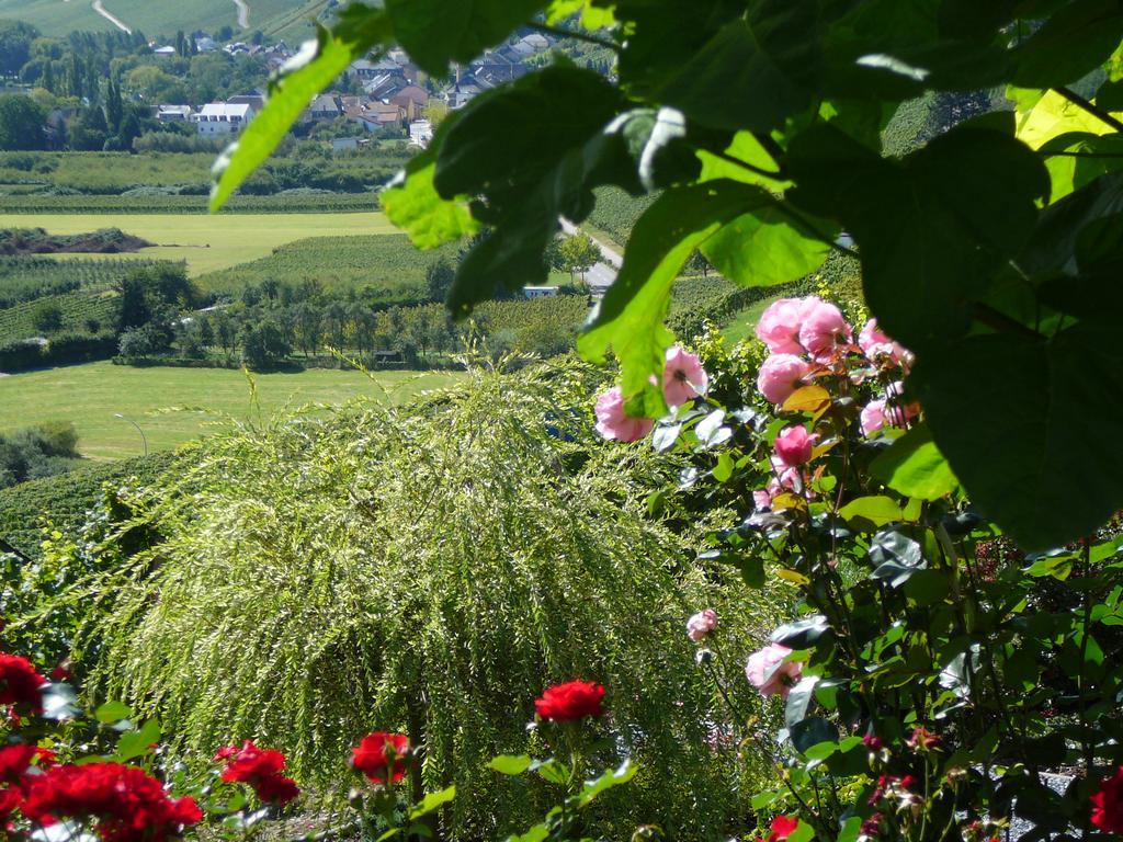 Hotel Des Vignes Restaurant Du Pressoir Remich Luaran gambar