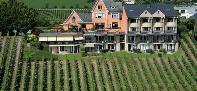 Hotel Des Vignes Restaurant Du Pressoir Remich Luaran gambar